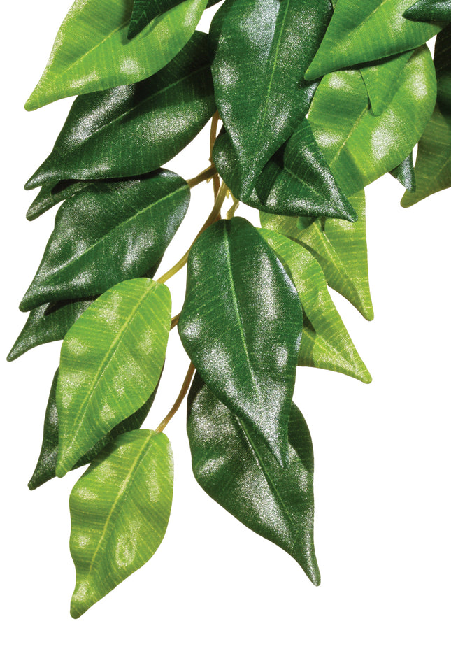 Exo Terra - Forest Ficus (Large)