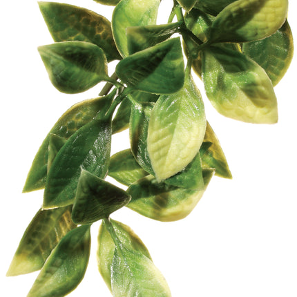 Exo Terra - Forest Plant Mandarin (Large)