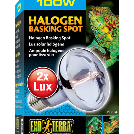 Exo Terra - Sun Glo Daylight Halogen Lamp (100w)