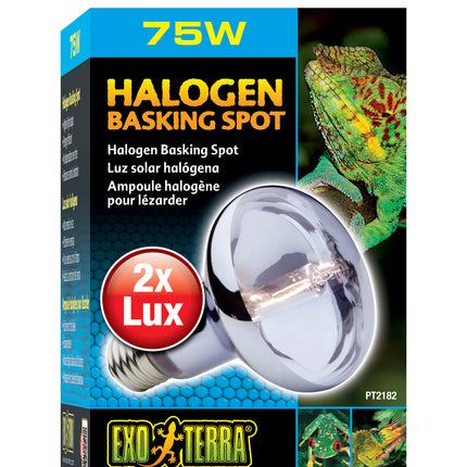 Exo Terra - Sun Glo Daylight Halogen Lamp (75w)