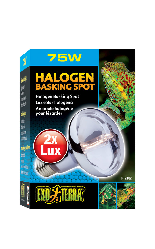Exo Terra - Sun Glo Daylight Halogen Lamp (75w)