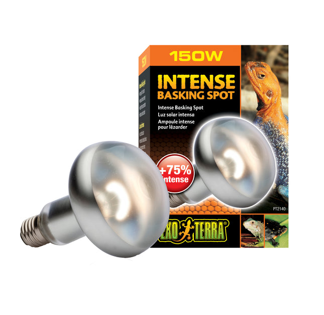 Exo Terra - Sun Glo Basking Spot Lamp (150w)