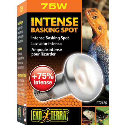 Exo Terra - Sun Glo Basking Spot Lamp (75w)