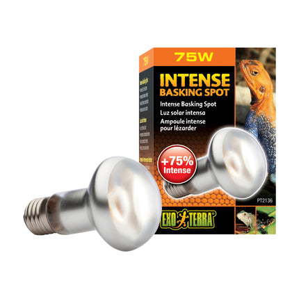Exo Terra - Sun Glo Basking Spot Lamp (75w)