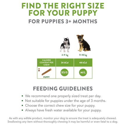 Whimzees Puppy Dental Treat