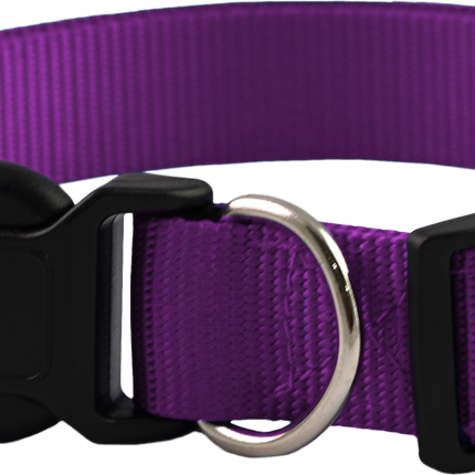 Furwear - Basic Dog Collar (Purple)