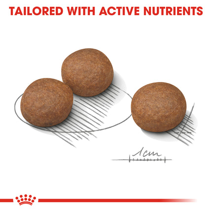 Royal Canin - Medium Adult Digestive Care Dog Dry Food (3kg)