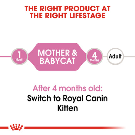 Royal Canin - Mother & Babycat Dry Food (10kg)