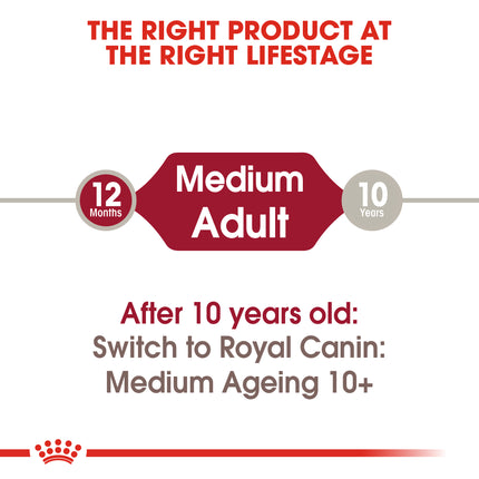 Royal Canin - Medium Adult Dog Wet Food (140g x 10pk)