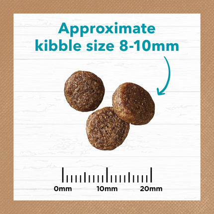 Ivory Coat - Grain Free Adult Dry Cat Food Ocean Fish & Salmon (4kg)