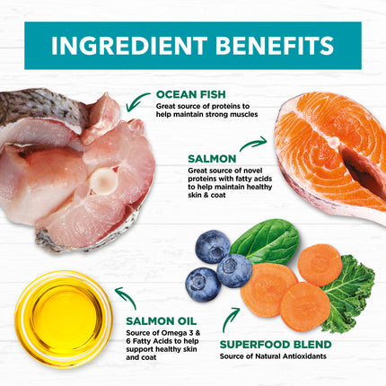 Ivory Coat - Grain Free Adult Dry Cat Food Ocean Fish & Salmon (4kg)