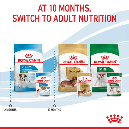 Royal Canin - Mini Puppy Dog Wet Food (85g x 12pk)