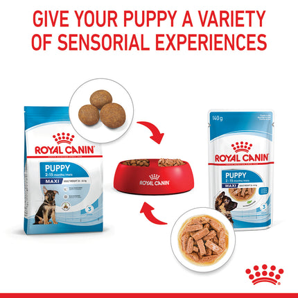 Royal Canin - Maxi Puppy Dog Wet Food (140g x 10pk)