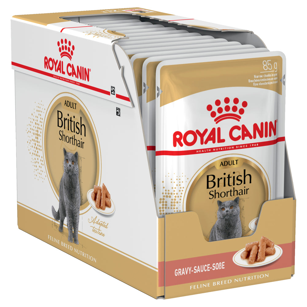 Royal Canin British Shorthair Breed Gravy Adult Cat Wet Food
