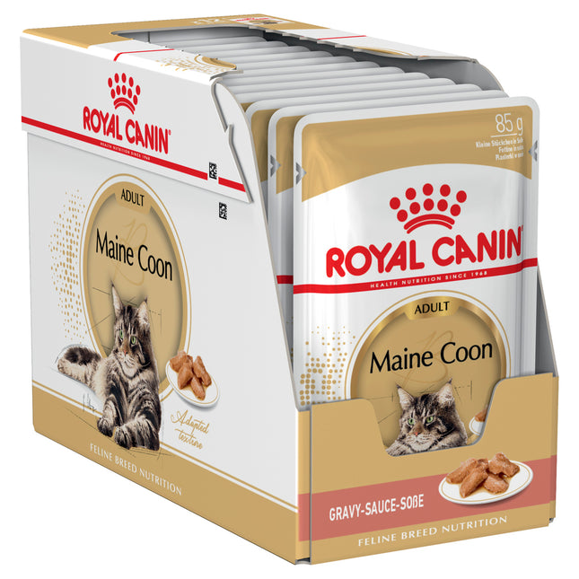 Royal Canin - Maine Coon Cat Wet Food (85g x 12pk)