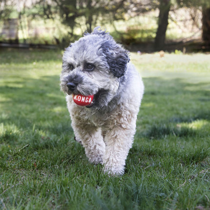 KONG - Signature Balls 2pk (Medium)