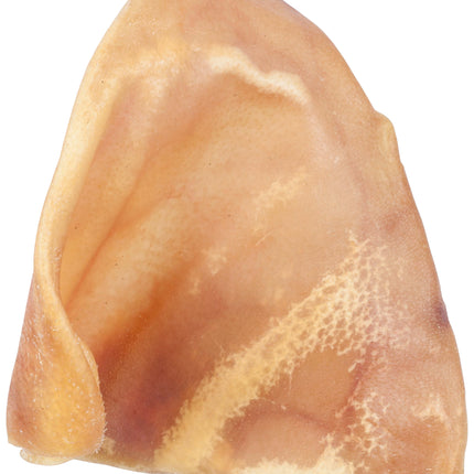 TidBits - Pig Ears (10pk)