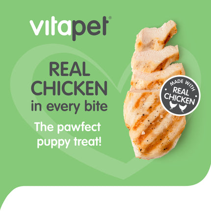 VitaPet - Soft Chicken Tenders Dog Treat (100g)