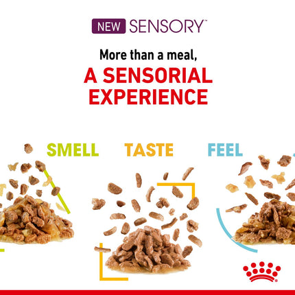 Royal Canin - Sensory Taste Jelly Adult Cat Wet Food (85g x 12pk)