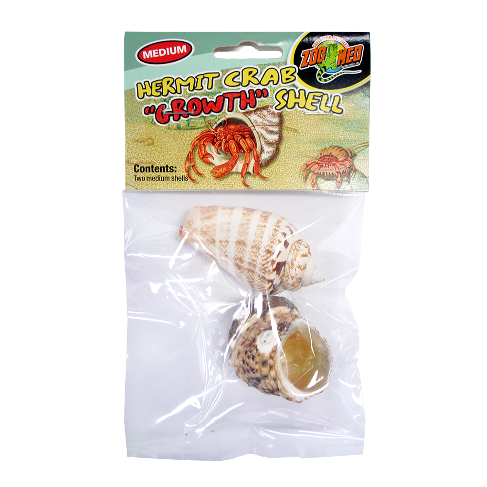 Zoo_Med_-_Hermit_Crab_Shell_-