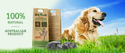 Dog Rocks (600g)