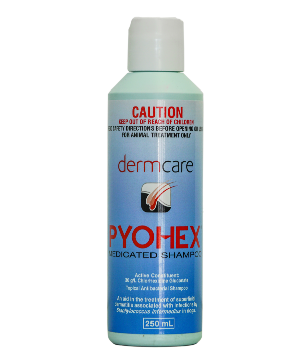 Dermcare - Pyohex Shampoo (250ml)